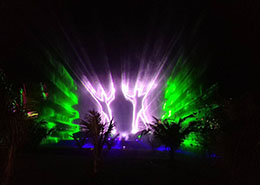 搡8O老女人老妇人老熟